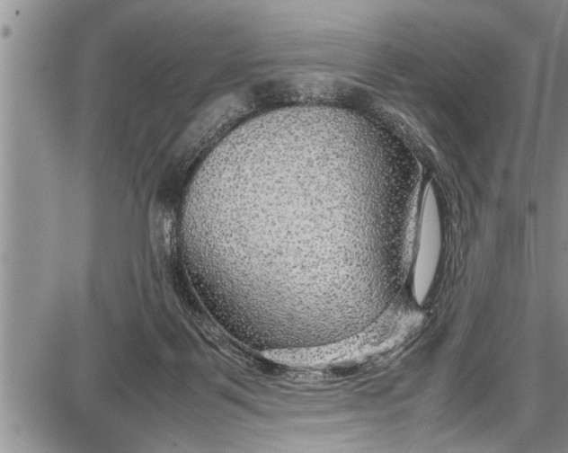 X0000087640123200705181535