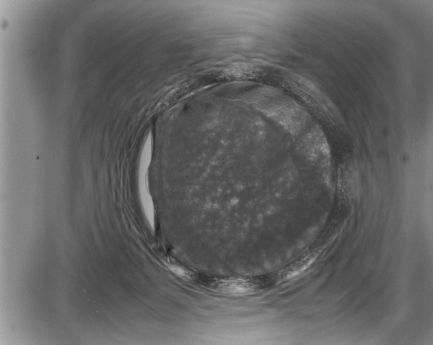 X0000087640127200705181535