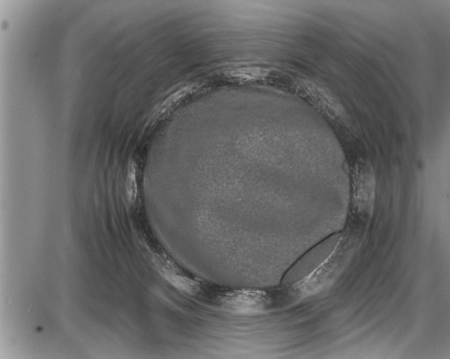 X0000087640128200705181535