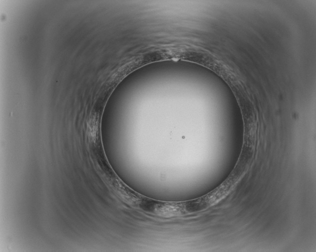 X0000087640129200705181535