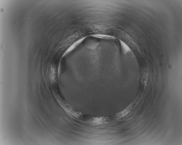 X0000087640130200705181535