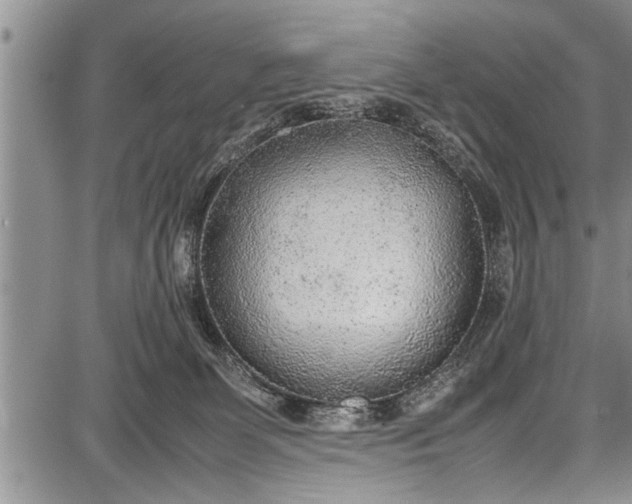 X0000087640131200705181535