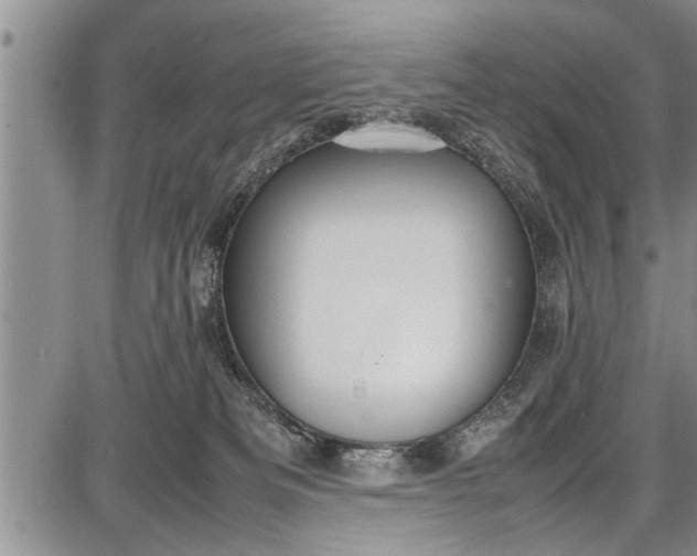 X0000087640133200705181535