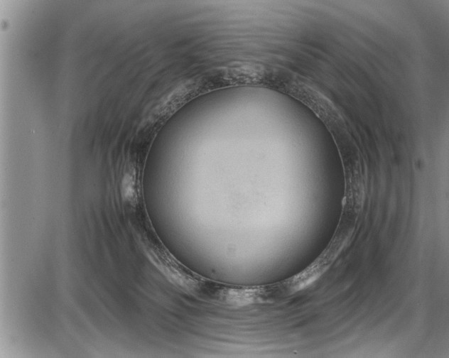 X0000087640134200705181535