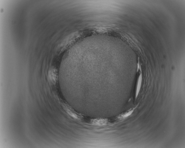 X0000087640135200705181535