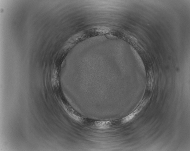 X0000087640136200705181535