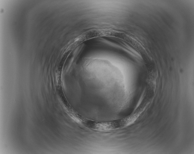 X0000087640139200705181535