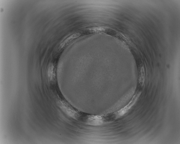 X0000087640140200705181535