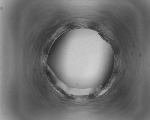 X0000087640141200705181535