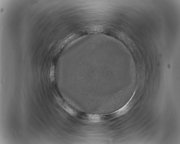 X0000087640144200705181535