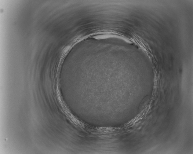 X0000087640145200705181534