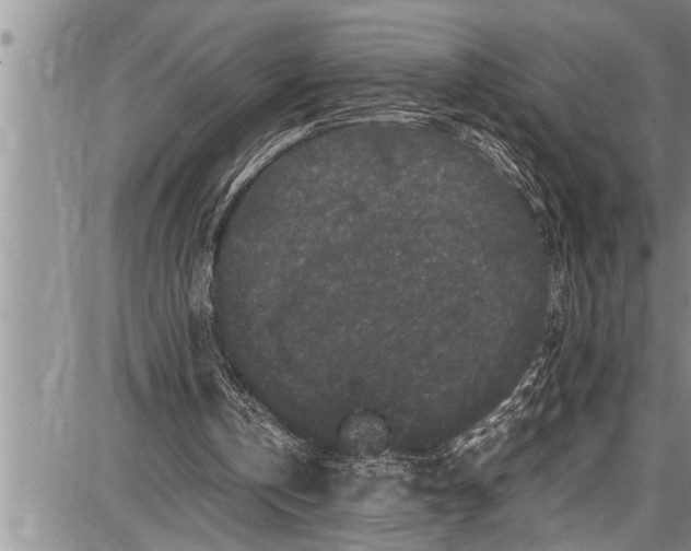 X0000087640146200705181534