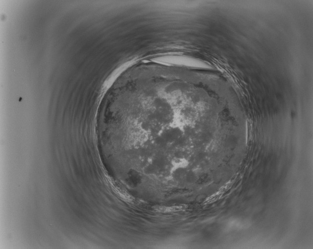 X0000087640147200705181534