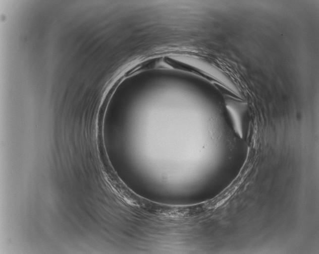 X0000087640148200705181534