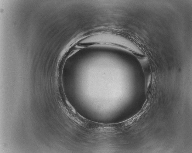 X0000087640150200705181534