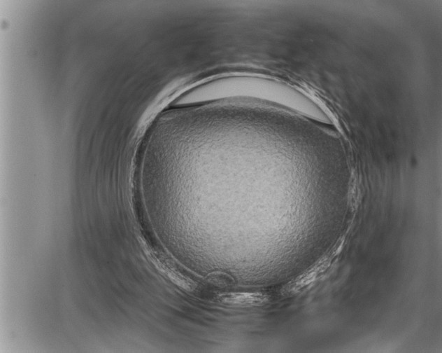 X0000087640151200705181534