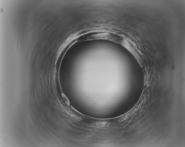 X0000087640152200705181534