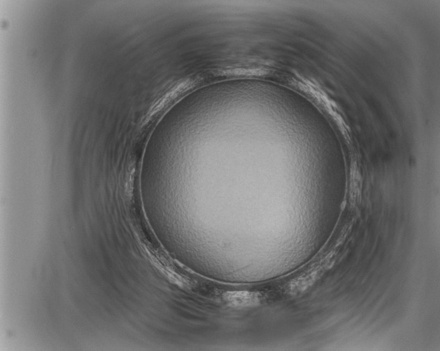 X0000087640153200705181534