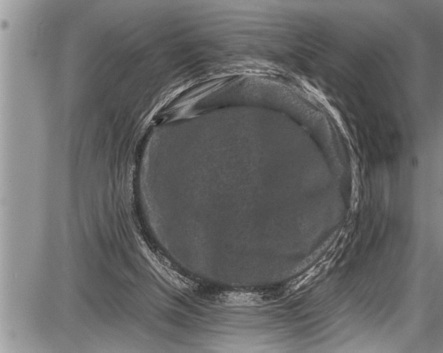 X0000087640154200705181534