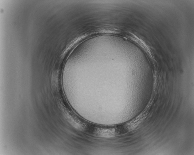 X0000087640155200705181534