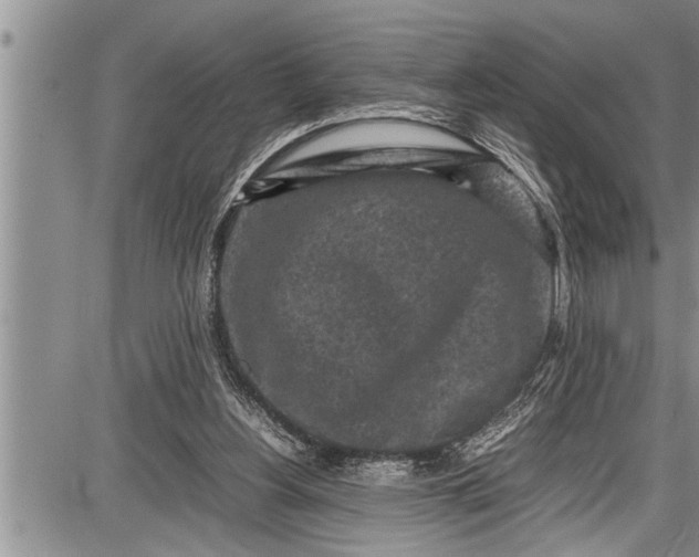 X0000087640156200705181534