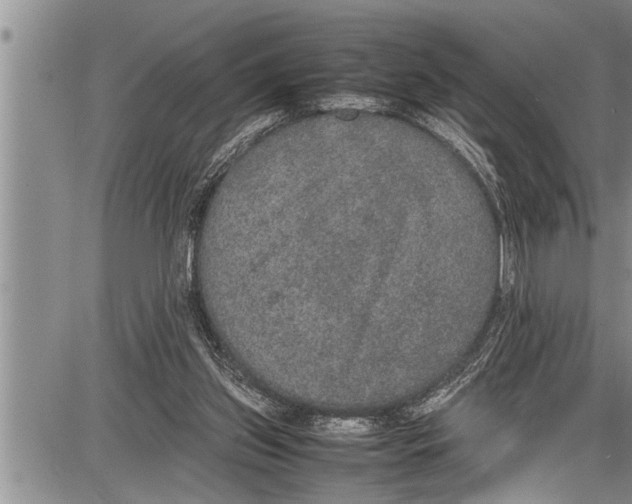 X0000087640157200705181534