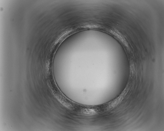 X0000087640159200705181534