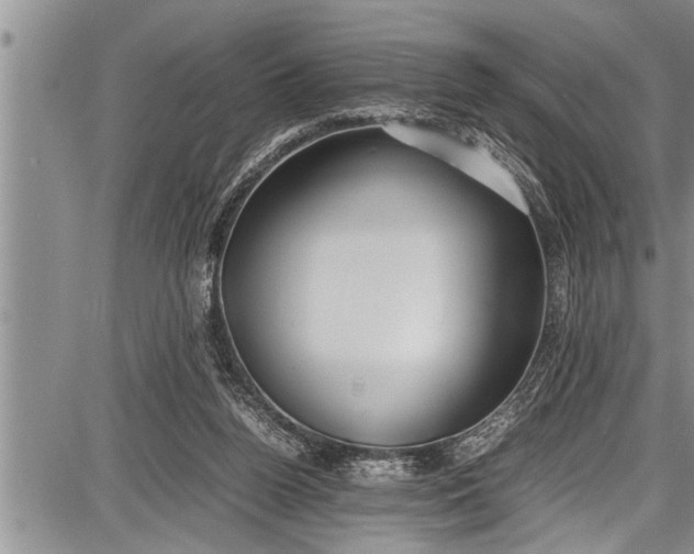 X0000087640160200705181534