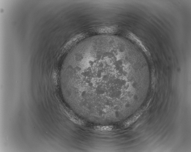 X0000087640161200705181534