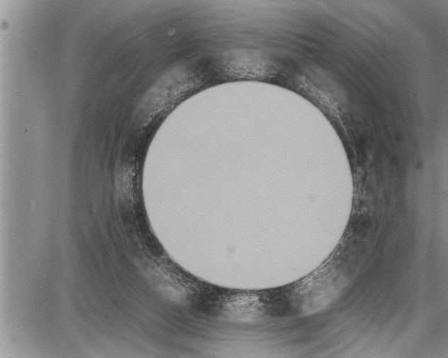 X0000087640162200705181534