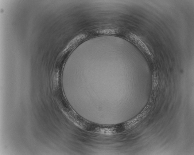 X0000087640163200705181534