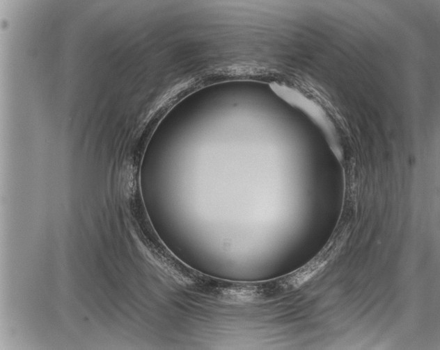 X0000087640164200705181534