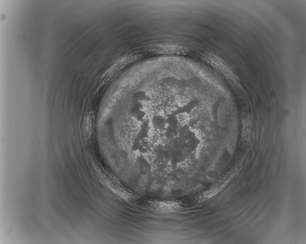 X0000087640165200705181534