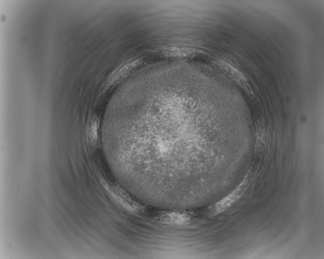 X0000087640166200705181534