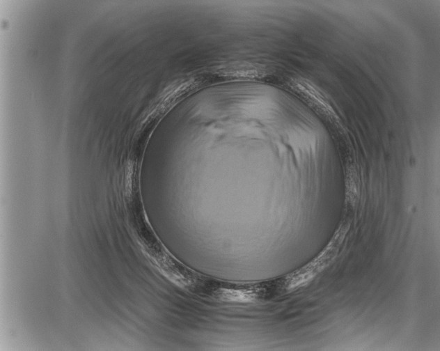 X0000087640167200705181534