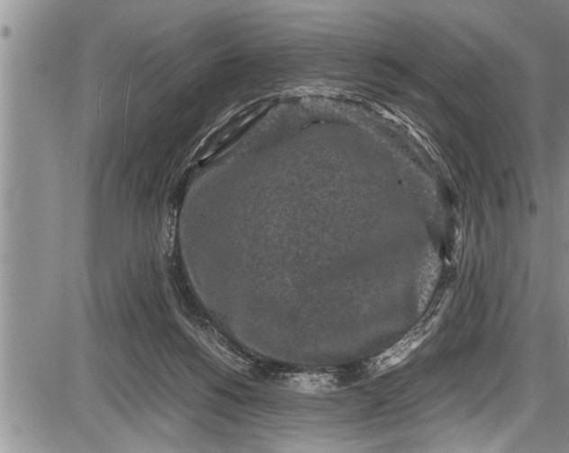 X0000087640168200705181534