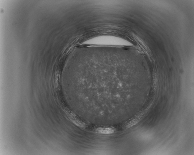 X0000087640169200705181534