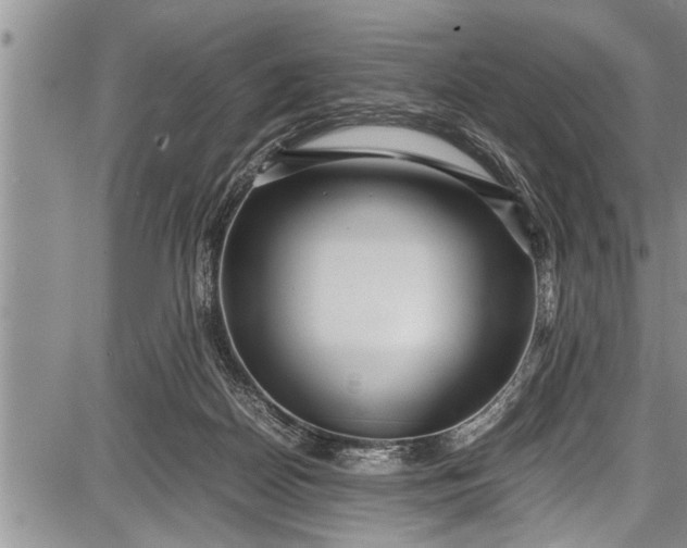 X0000087640170200705181534