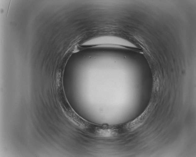 X0000087640171200705181534