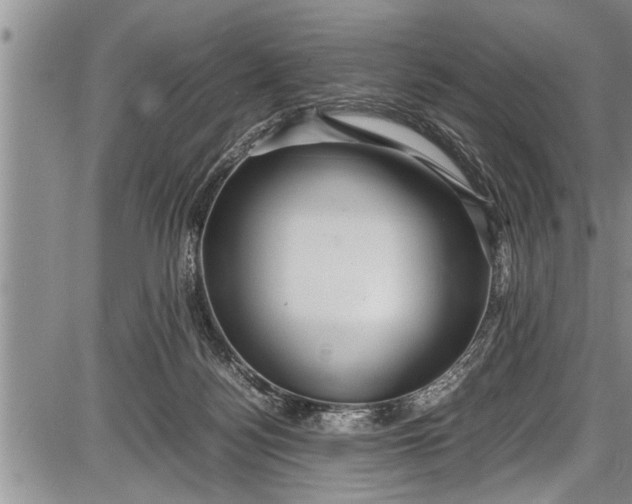 X0000087640172200705181534