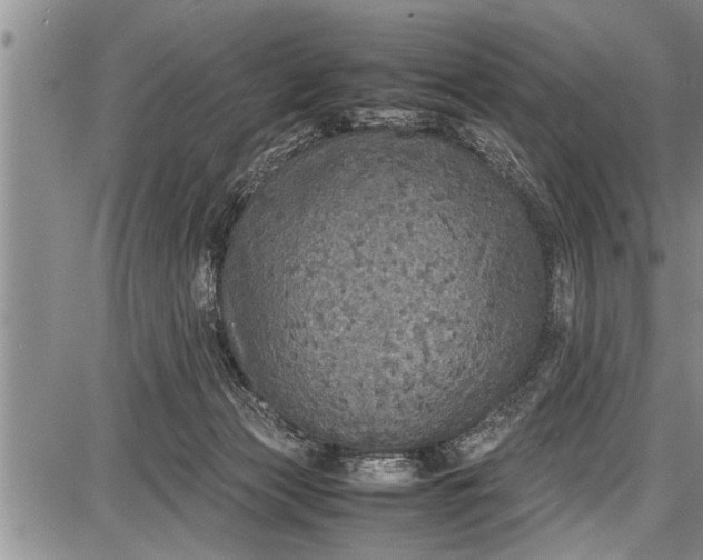 X0000087640173200705181534