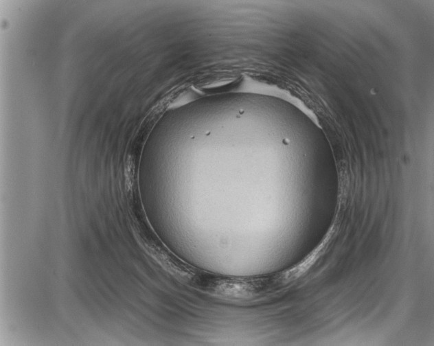 X0000087640174200705181534