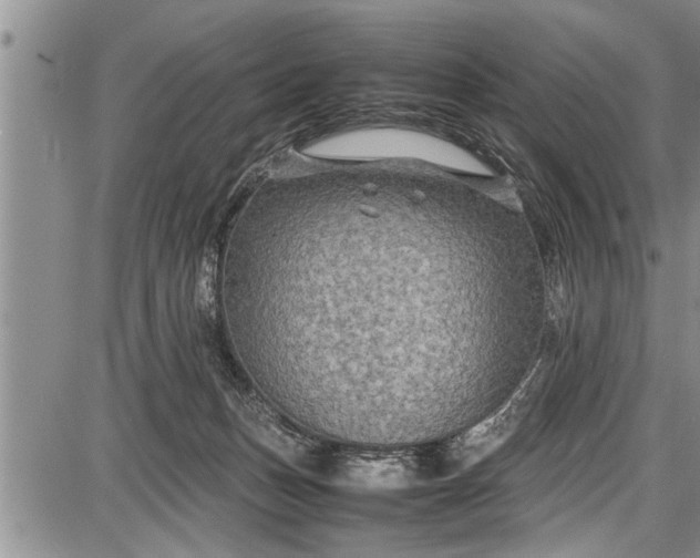 X0000087640175200705181534