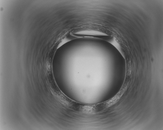 X0000087640176200705181534