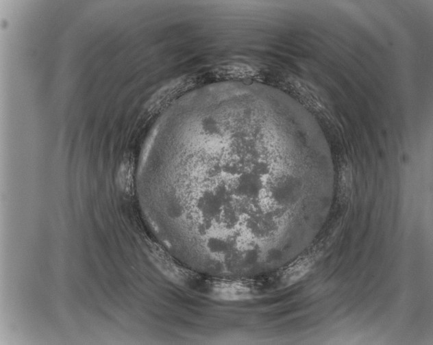 X0000087640177200705181534