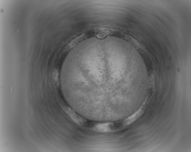 X0000087640178200705181534