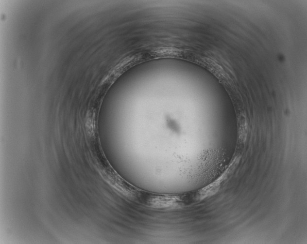 X0000087640179200705181534