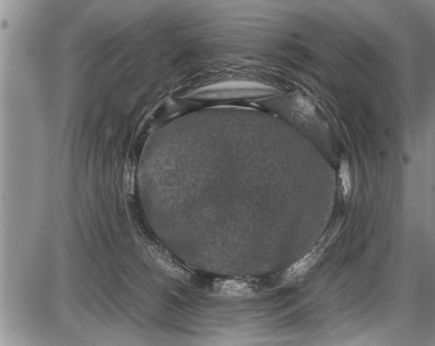 X0000087640180200705181534