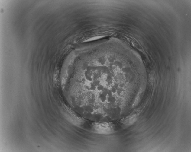 X0000087640181200705181534