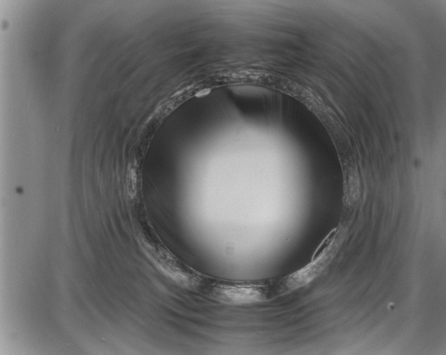 X0000087640183200705181534